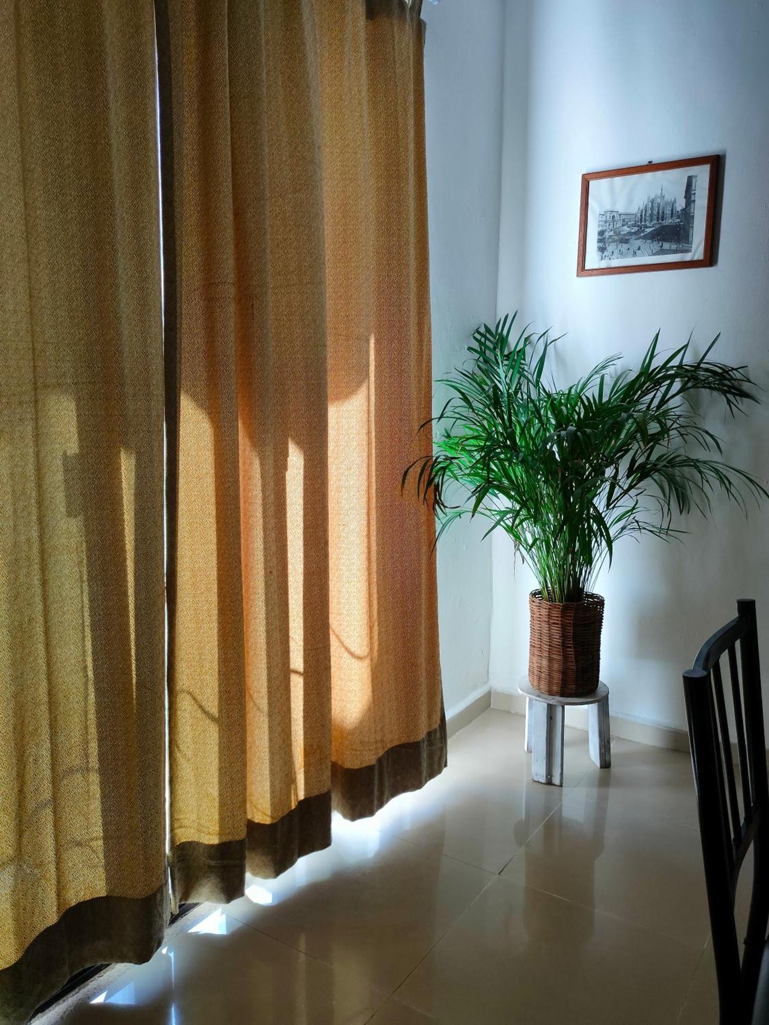 דירות קנקון Casa Coraza מראה חיצוני תמונה